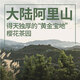 
Drink the rich aroma charcoal roasted oolong tea 2025 new tea Taiwan original high mountain tea 250g