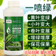 Amino acid foliar fertilizer, water-soluble fertilizer, flower fertilizer, nutrient solution, general-purpose chlorophyll agricultural fertilizer for fruit trees, flowers and plants 30g*10 bags