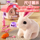 Yimi Children's Girls House jugando juguetes eléctricos con el conejo eléctrico muñeca para mascotas 3-6 cumpleaños regalo