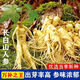 Changbai Mountain ginseng seeds are planted all year round in potted Northeastern American ginseng seeds, herbal medicinal seeds, 50 new seeds + fertilizer (100% germination rate)