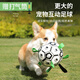 Front dog toy pet outdoor football border collie medium and large dog corgi interactive bite-resistant boredom relief training tour ball