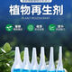 Plant Regeneration Agent Resurrection Liquid for Flowers and Green Plants Potted Plants Universal Light Stem Yellowing Money Tree Succulent Growth Nutrient Solution 10 boxes of 60 pieces in total Green leaves + strong roots + flower promotion