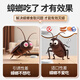 Green Leaf Cockroach Killing Gel Bait Cockroach Killing Cockroach Convenient Patch Cockroach Killing Insecticide 24 pieces 4017/3