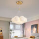 Sala de estar LED Iluminación principal Restaurante Nordic Creative Cream Style Lámpara de techo de dormitorio Lámpara de techo entera Paquete de combinación 1W 9734-Black 7-HEAD TRES COLOR CAMBIO Bola blanca 15
