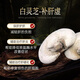
WILAKON/Weilekang Blambi Ganoderma Spore Powder Capsules Enhance Immunity Postoperative Radiation and Chemotherapy for Middle-aged and Elderly Nutritional Products 360 Tablets/Box