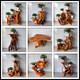 Registro de registro de la raíz Raíz del árbol del árbol Natural Sala de estar Multi-capa Rack Bonsai Rack Fish Fish Wood Base Base 16852
