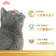 Royal Cat Food 10kg British Shorthair Cat Food Adult Cat Food Ragdoll American Shorthair Persian Tabby Blue Cat Special Full Price Cat Food General Food BS34 British Shorthair Adult Cat Food 2kg