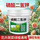 5 Jin Jin is equal to 0.5 kilograms of potassium dihydrogen phosphate foliar fertilizer genuine potassium dihydrogen phosphate official store agricultural fertilizer tree vegetable flower fertilizer 10 Jin Jin is equal to 0.5 kilograms in barrels