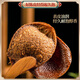 Tongrentang Xinhui Tanger Tangerine Peel Fett Donglai Qualität authentisch Guangdong Xinhui Tangerine Peel seit 20 Jahren nicht trockenes Guangdong Spezialität authentische Xinhui Tangerin-Peel/Trockenlager-Altern/Vollöl-Beutel/feuchter und nackte nördliche, spezielle 20-jährige 20-jährige.