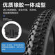 Tire du vélo épaissies 20/22/24/26 pouces x1,50 / 1,75 / 1,95 / 2.125 CEINTURE DE TEMPRE DE VILOBLE 26X2.125 Tire extérieure épaissie