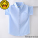 G.duck boys short-sleeved shirt 2026 new summer children's white shirt summer t-shirt middle and older children's school uniform trendy white 120 cm