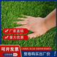 Simulated lawn artificial turf artificial fake lawn carpet simulated plastic lawn mat outdoor 2 cm thick spring grass 2 meters wide * 6 long