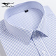 Septwolves Shirt Herren kurzärmeligte Baumwollgeschäft formelle Karriere als Büroangestellte Karriere halbärmelig Hemd DX6630 38