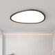 Wrigley pebbles bedroom lamp modern simple book room ceiling lamp 2025 new creative eye protection Zhongshan lamp 4W full spectrum RA9755CM-three-color segmentation/46W