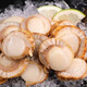 New arrival, extra large scallop meat, pure wild-caught fresh scallops, frozen seafood, kept fresh with ice, scallop meat 400g*2