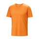 Arc'teryx Arcteryx Arctic Bird Norvan Downword Downword Pressante de manga de manga corta para hombres.