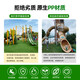 Simulated lawn carpet, green plastic decorative artificial grass bedding, kindergarten artificial floor mat, outdoor fake turf, 3cm encrypted soft spring grass, recommended by the store manager, no residue, 5-year warranty, 2.5 meters wide and 10 meters long