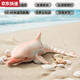 奇立彩电动遥控海豚无线2.4G水上机械仿真儿童戏水玩具船可下水鲨鱼鲸鱼 38CM遥控粉色海豚带头灯遥控器升 标配