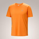Archaeoptera Bird (Arc'teryx) Archaeoptera Bird Norvan Downword Logo SS Camiseta de manga corta Men 9720 [ADD/858] Forraje/Tatsu Misty Green S