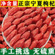 Lycium barbarum ningxia 500g 250g authentisch zhongning Spezialgrad eingeweichtes Wasser rotes Gouqi Wang Extra großer Hund Qi Schwefel-freies gerade Haare 10g Erlebnis Paket Ningxia Spezialklasse Große Pellet Erste Stoppeln Wild Wolfberry