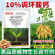 10% Prohexadione Calcium Plant Growth Regulator Controls Shoots but Not Fruits to Control Growth and Strong Seedlings Agricultural Wholesale Prohexadienate Calcium 10g-5 Bags