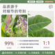 Yonghuan simulated green plant flower tank landscaping partition combination flower box fake plant interior window drop landscaping decoration A5012 yellow edge banana leaves + 3 fork lily bamboo white edge