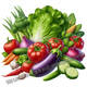 Yonghuan kitchen vegetable stickers refrigerator door tiles fresh fruits and vegetables self-adhesive paintings on wall doors and windows stickers waterproof paintings TG9859 self-adhesive paper without background 0cm*0cm long side 30CM (large size better effect