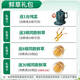 北京同仁堂【2025年头茬鲜草】新鲜冬虫夏草头期鲜虫草送父母滋补营养品0.8 0.8克/根 35根装