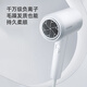飞科护发电吹风机家用速干便携学生宿舍低噪音冷热风大功率吹风筒/FH6296/6290/PH1628 负离子爆款+时尚锤子设计【白】