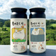 Cat Teacher Japanese Thermos Copa Cartoon Lindo Café de vacío de dibujos animados
