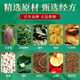 
Beijing Tongrentang Green Qianliu Corn Scarlet Wormwood Tea Burdock Root Tea Bag Astragalus Scrophularia Tea Chrysanthemum 3 boxes