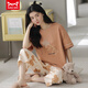 Catman (Miiow) Pyjamas en coton pur pour femmes en été à manches courtes pantalons sportifs de sport et décontracté peut être porté à l'extérieur de la maison de vêtements de printemps T-9855 (costume court) M (80-100jin [Jin est égal à 0,5 kg]))