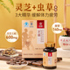 仙芝楼芝盛胶囊 增强免疫力 缓解疲劳 破壁灵芝孢子粉胶囊灵芝虫草精华 1盒 30g 【体验尝鲜】