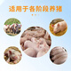Bantewang pig day length substitutes premixed fattening and weight gain king mixed feed additives to fatten pigs and promote growth. One bag __ 2.5 kg