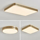 Leshi (NVC) 2025 new outdoor ceiling light insect-proof waterproof door light Chinese villa full copper entrance light garden terrace sun X3891/round 30CM/three colors adjustable