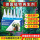 Plant Regeneration Agent Resurrection Liquid for Flowers and Green Plants Potted Plants Universal Light Stem Yellowing Money Tree Succulent Growth Nutrient Solution 10 boxes of 60 pieces in total Green leaves + strong roots + flower promotion
