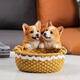 Ornamentos de almacenamiento de la llave de entrada de perro creativo Coloque la puerta del gabinete de calzado de entrada decoración de escritorio nuevo manualidades de regalo de casa doble Corgi 14069a