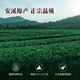 Bama Tea Industry Oolong Tea Pearl Buck 1000 Tieguanyin Rich Flavor Special 25g Box Tea Leaves