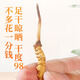 挖草人【真】野生冬虫夏草 西藏野生虫草中老年人滋补养生礼品 1克四根  5克  20根野生虫草