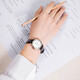 Tian Wang Watch Women's Canghai-Serie Simple Belt Quartz Damen Watch White LS3886S/D-A-A-A
