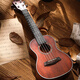 Yamaha 23-inch ukulele female beginner entry-level Uklili little guitar boy 23-inch wood color + big gift bag 23-inch