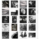 [1422] Illustration Artiste Nico Deort Black and White Pen illustration Imptages Decorative Paintings 200 Images