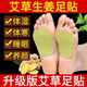 Enhanced version of Moisture Heavy Foot Patch to remove moisture, dispel cold and insomnia, improve sleep, mugwort and ginger warm foot patch, newly upgraded mugwort and ginger foot patch (applying to the sole of the foot is better than soaking the foot) 5 packs of 100 patches