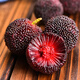 
Xianju Dongkui bayberry fruit 250g (starting from 16g single fruit)