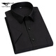 Septwolves Shirt Herren kurzärmeligte Baumwollgeschäft formelle Karriere als Büroangestellte Karriere halbärmelig Hemd DX6630 38