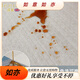 Alfombra de sala de estar lei'erout No lavable el sofá lavable Mat de la zona grande Sala completa Home Home Imploude Waterproof Simple No. 13567 300cm*200 cm (resistente al desgaste y duradero)
