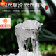 Эффекты и функции Tongrentang Snow Wallows Walling Extra-Mustrade Snhated Snow Bird's Authentic Yunnan Wild I сырой птичье гнездо персиковой резинки персиковой резинки мыло мыло для мыла, чтобы питать кожу [Wild Snow Bird].