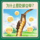 挖草人【西藏那曲】新鲜野生冬虫夏草 2025那曲野生鲜虫草头茬鲜虫草 西藏那曲鲜虫草  1.0克20根