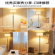 Huale Group Stößen Lampen moderne einfache Wohnzimmer Schlafzimmer vertikaler bodenstehender Tischlampe Atmosphäre Französische Nachtlampe grenzüberschreitend 1396-Drei-Farblicht-5W