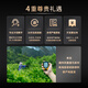 第王古树乌岽鸭屎香凤凰单枞茶特级乌龙茶潮汕茶叶单丛品鉴装送礼盒装 【乌岽鸭屎香】250g*1罐 清香型250g